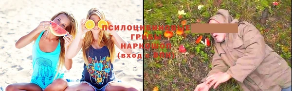 молекула духа Дмитриев