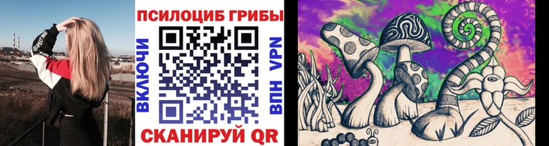 Купить где  Нолинск  Псилоцибиновые грибы Magic Shrooms 